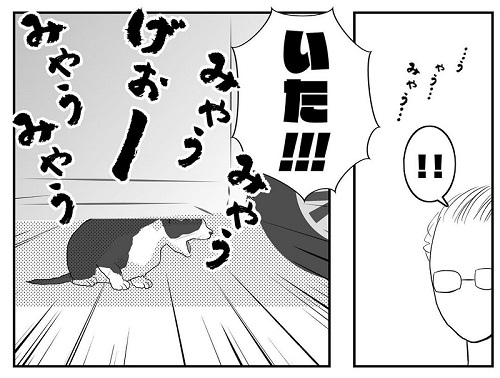 猫漫画3