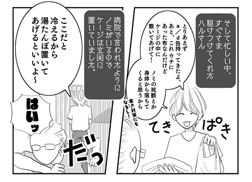 保護猫ボランティア