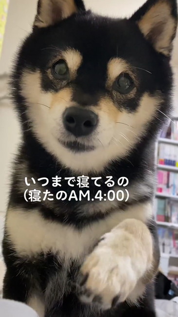 いつまで寝てるの