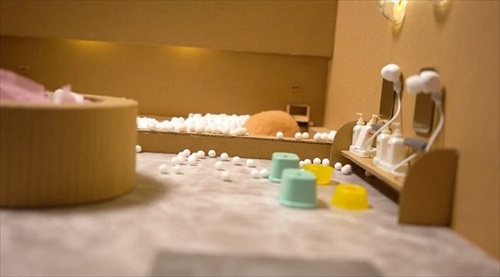 手作りお風呂とハムスター