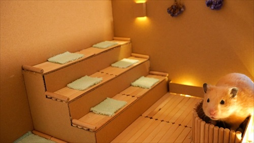 手作りサウナとハムスター