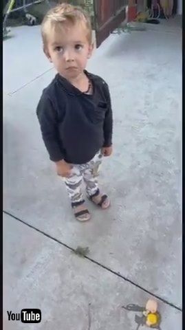 「Adorable Toddler Gets Sad After Accidentally Dropping Egg - 1371503」
