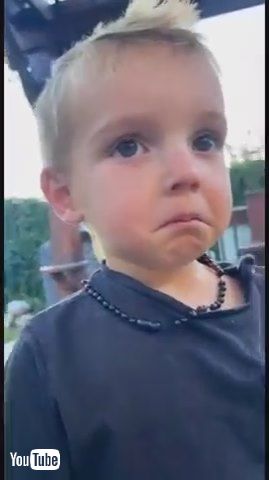 「Adorable Toddler Gets Sad After Accidentally Dropping Egg - 1371503」