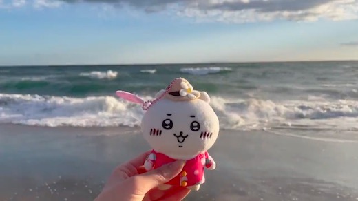 ちいかわ 鳶 鎌倉 海岸 ぬいぐるみ