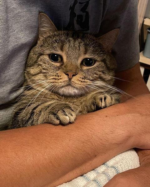 抱っこされてる