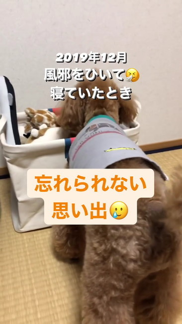 忘れられない思い出