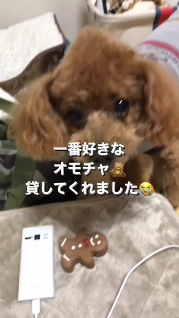 一番好きなおもちゃ