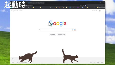 ネッコサーフィン