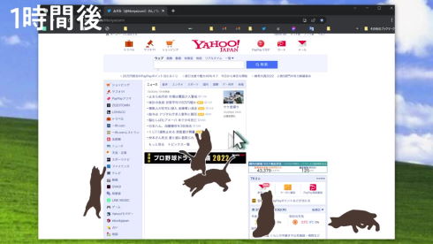 ネッコサーフィン