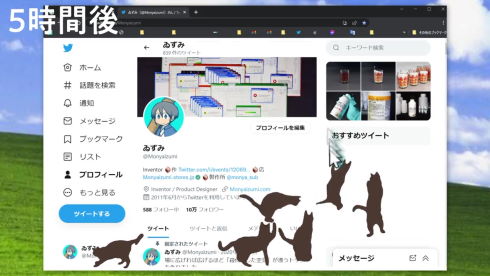 ネッコサーフィン