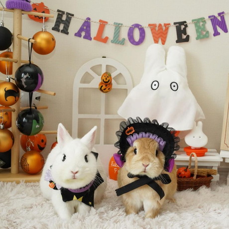 イヴちゃんと寿限無くん