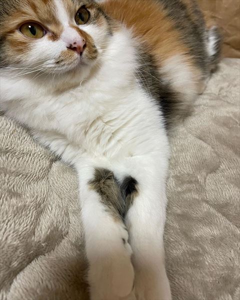 手の柄がハート