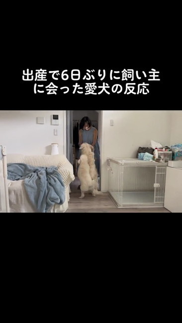 出迎える2匹