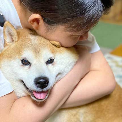 お姉ちゃんと柴犬