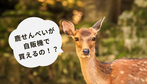 奈良 自販機 鹿せんべい kome-kami お米 活用 紙 箱