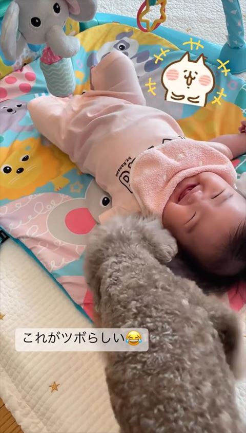 ワンコの方を見て笑う赤ちゃん