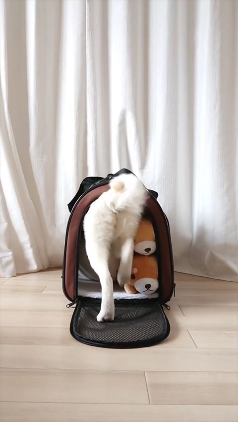 後ろ足ジタバタ