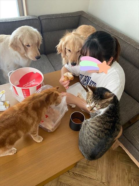 飼い主を囲むわんにゃん