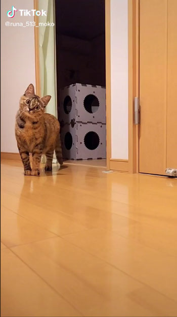 オススメ
