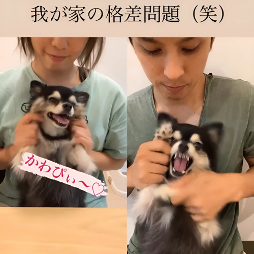 前足を上げられた犬