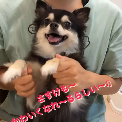 うれしそうな犬