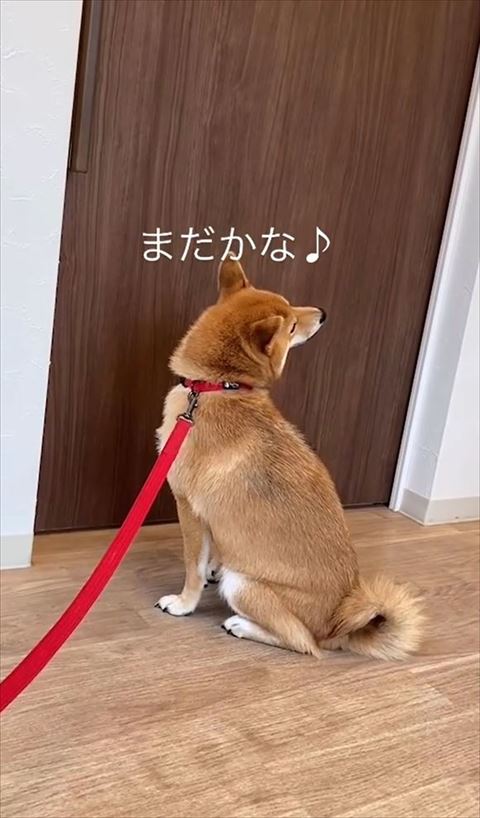 まだかなテロップ