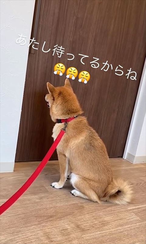 待ってるからねテロップ