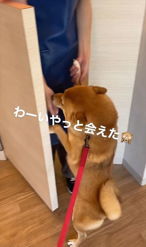 先生と手つなぐ