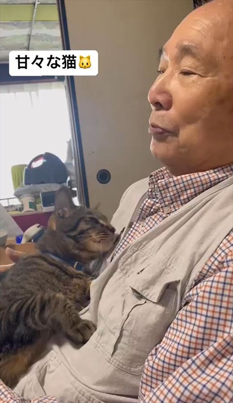 おじいちゃんのおなかに右手添える猫ちゃん