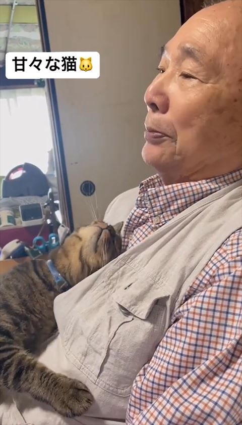 上向いてスリスリ