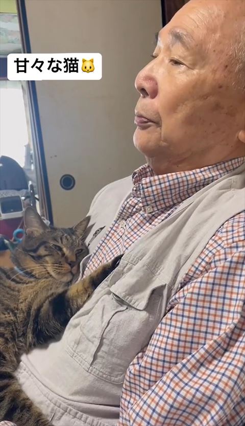 満足そうな猫ちゃん