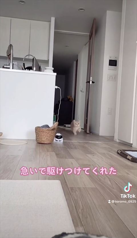 遠くから走ってくる