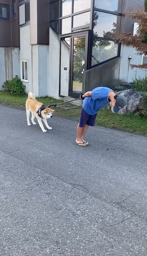 マイケルとワンコ