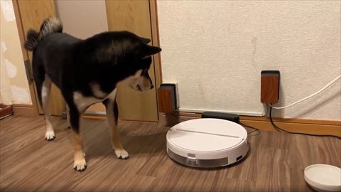 充電場所に入ったロボット掃除機