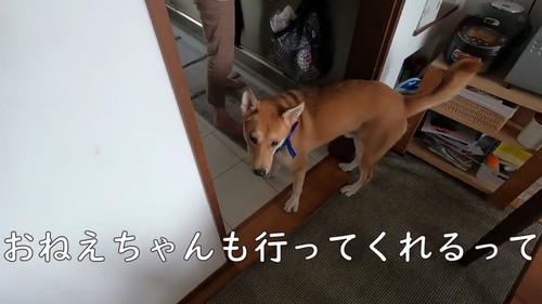 おねえちゃんも