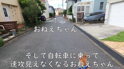 遠いおねえちゃん