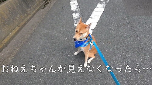 見えなくなったら