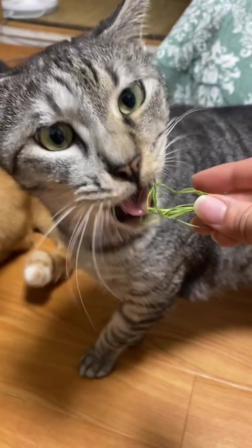 まるめて