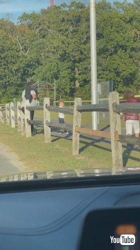 「Kid Takes Unnecessary Shortcut to Football Practice || ViralHog」