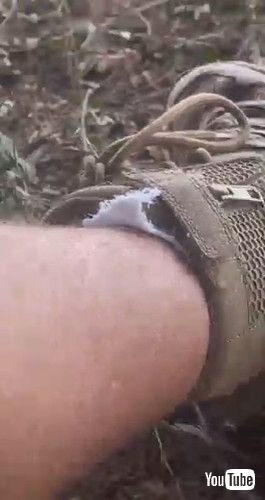 切られている靴下