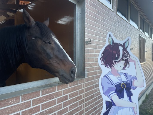 Yogiboヴェルサイユリゾートファーム タニノギムレット ウマ娘 牧場 パネル 破壊神 ギム爺