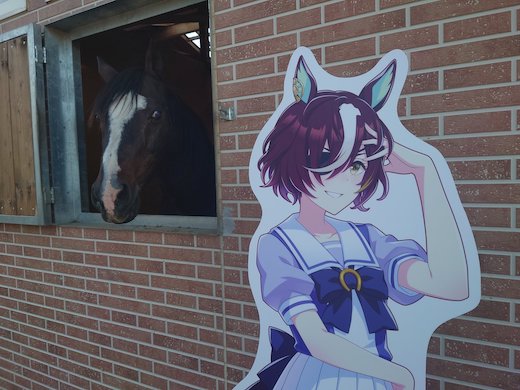 Yogiboヴェルサイユリゾートファーム タニノギムレット ウマ娘 牧場 パネル 破壊神 ギム爺