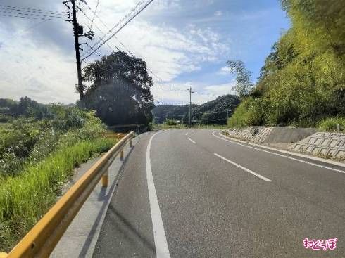 一見ただの快走路ですが......？