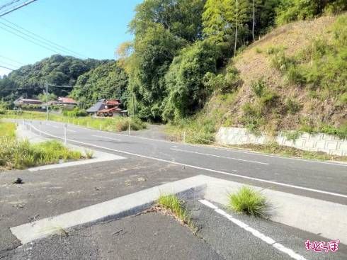 うねって道路を横断している