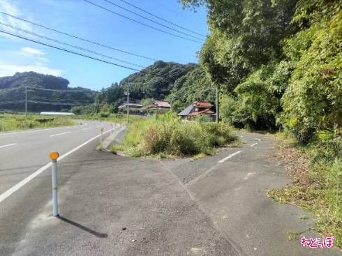 センターラインも見える