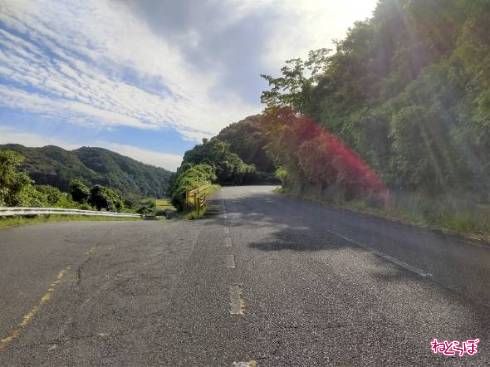 ガードレールの色で道が分かる