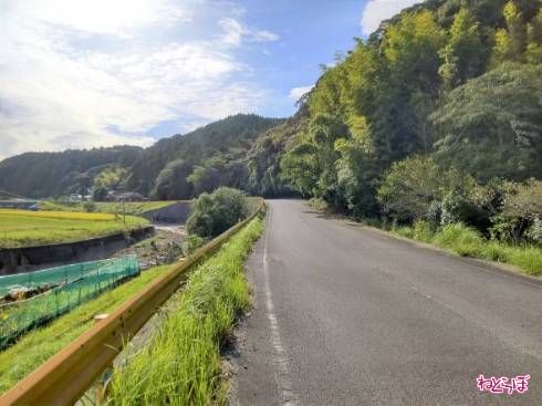 右手に山、左手には水田が見える。のどかだ……