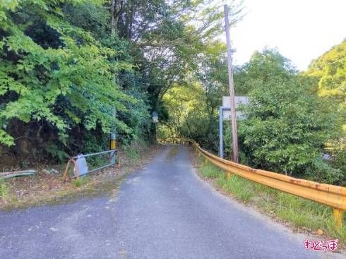 橋を渡ると急に1車線に