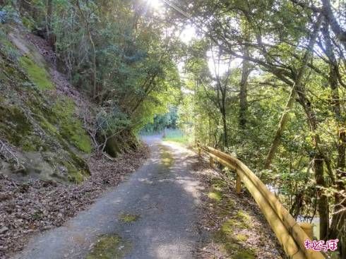 険道と夏みかん色のガードレール