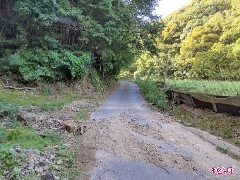 道路に砂利が混じる。右手には畑が